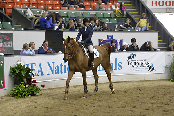 Madison Brayman - Hunter Ridge Equestrian Team - RI